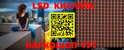 PSILOCYBIN Ярославль