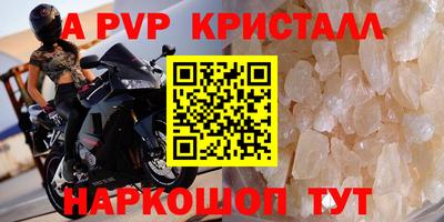 PSILOCYBIN Ярославль