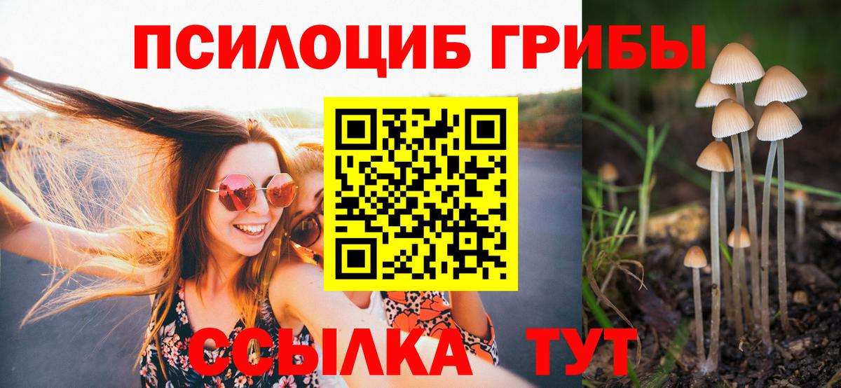 Лабинск  Псилоцибиновые грибы Psilocybine cubensis  сколько стоит  Вход с VPN  Галлюциногенные грибы ЛСД 